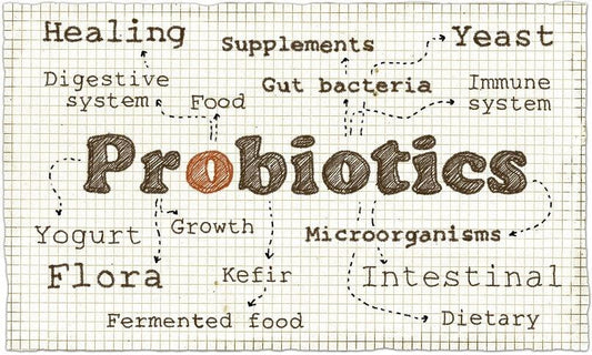 10 Medically Compelling Benefits for Probiotics - Velobiotics 