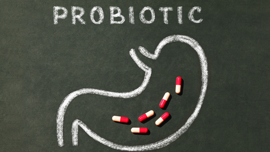 Chalk outline of stomach with red and white probiotic capsules and text "PROBIOTIC" on blackboard representing probiotics and health benefits