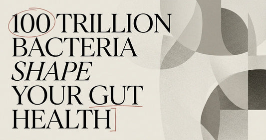 Probiotics and Gut Health: The Science Explained - Velobiotics