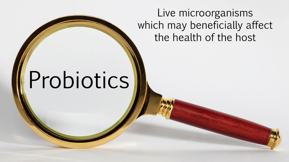 8 Benefits of Probiotics You Wouldn’t Imagine! - Velobiotics 