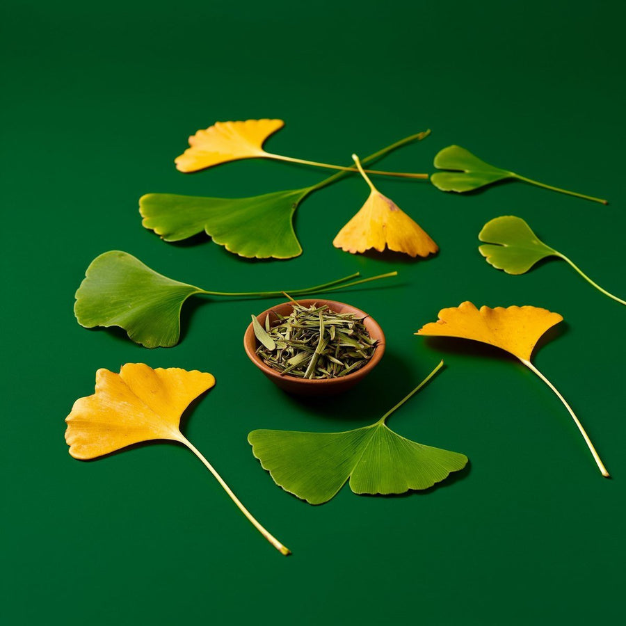 Ginkgo Biloba - Velobiotics