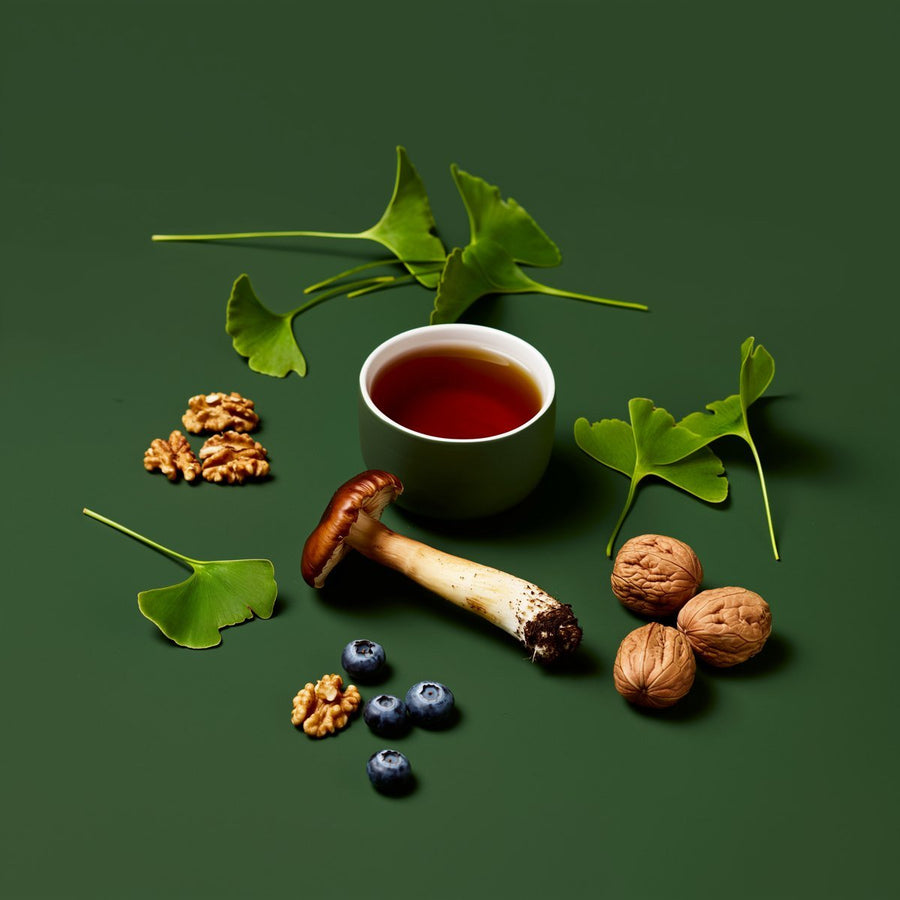 Mind & Focus - Velobiotics