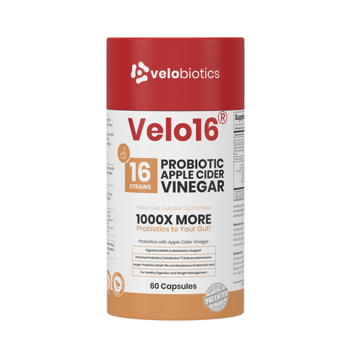 Velo16 Probiotics Apple Cider