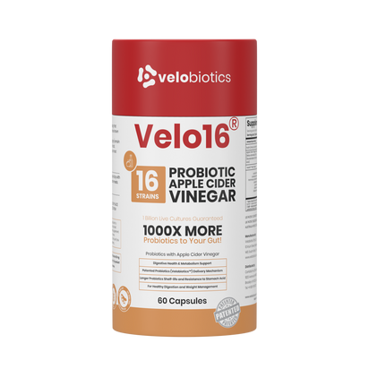 Velo16 Probiotics Apple Cider Vinegar supplement bottle with 16 strain probiotics and digestive support capsules