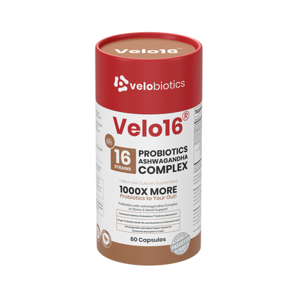 Velo16 Probiotics + Ashwagandha capsules supplement with 16-strain probiotic blend, zinc, and prebiotic fiber for gut health, immunity, and skin support.