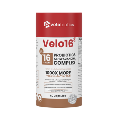 Velo16 Probiotics + Ashwagandha Complex supplement bottle with 16 strains, 60 capsules, supporting gut health and stress relief.