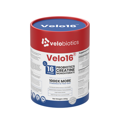 Velo16 Probiotics Creatine Monohydrate supplement powder for muscle performance and gut health with 16 probiotic strains and 5g creatine.