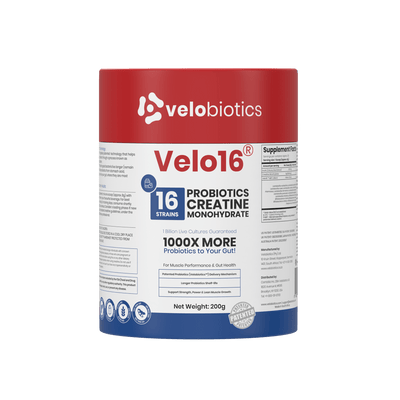 Velo16 Probiotics Creatine Monohydrate - Velobiotics