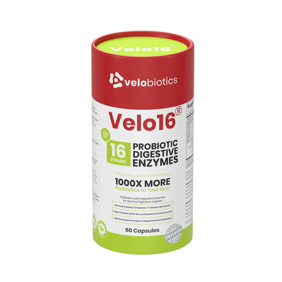 Velo16 Probiotics + Digestive Enzymes Complex supplement bottle with 16 probiotic strains for digestive health and nutrient absorption.