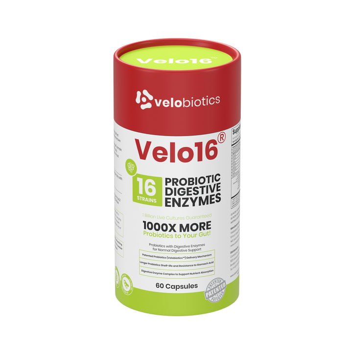 Velo16 Probiotics + Digestive Enzymes Complex supplement bottle with 16 probiotic strains for digestive health and nutrient absorption.