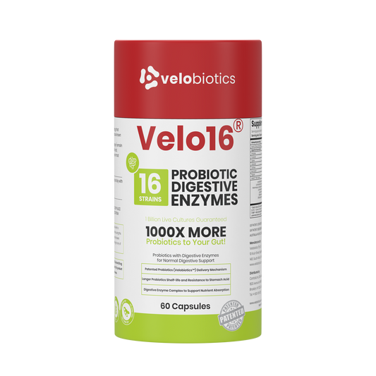 Velo16 Probiotics + Digestive Enzymes supplement bottle with 16 strains, 60 capsules for gut health and digestive support.