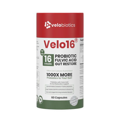 Velo16 Probiotics Fulvic Acid supplement bottle with 16 strain probiotic blend for gut restoration and nutrient absorption support