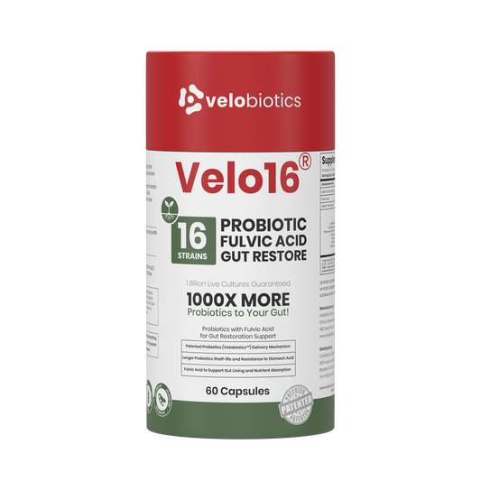 Velo16 Probiotics Fulvic Acid supplement bottle with 16 strain probiotic blend for gut restoration and nutrient absorption support