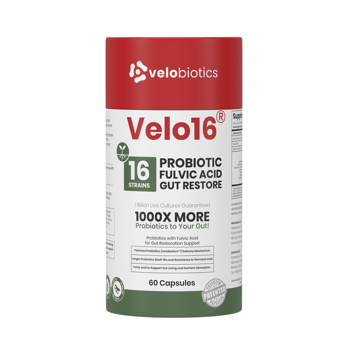 Velo16 Probiotics + Fulvic Acid supplement with 16 strains for gut restoration and enhanced nutrient absorption, 60 capsules bottle