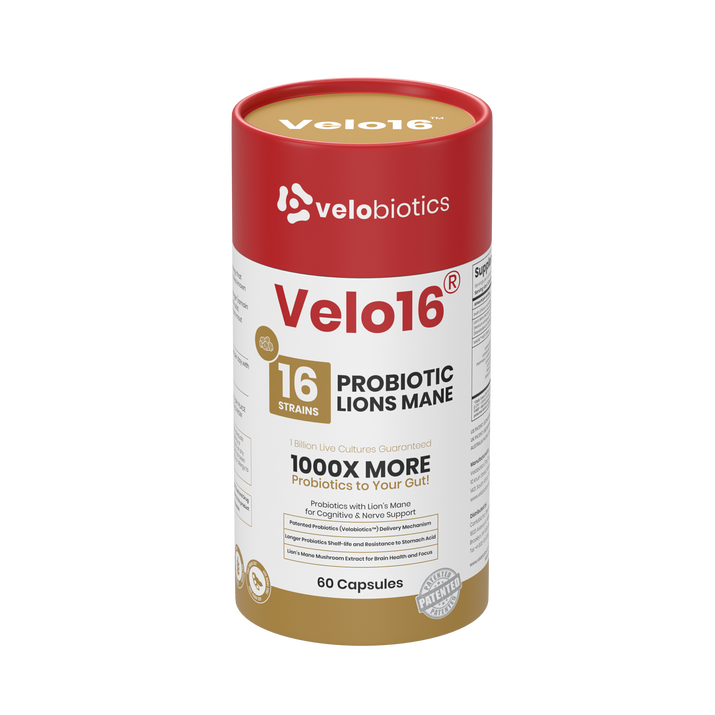 Velo16 Probiotics Lion's Mane supplement bottle with 16 probiotic strains for cognitive and gut health support