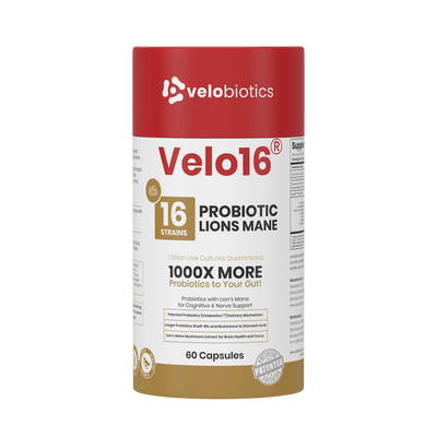 Velo16 Probiotics Lion's Mane 3D box front view