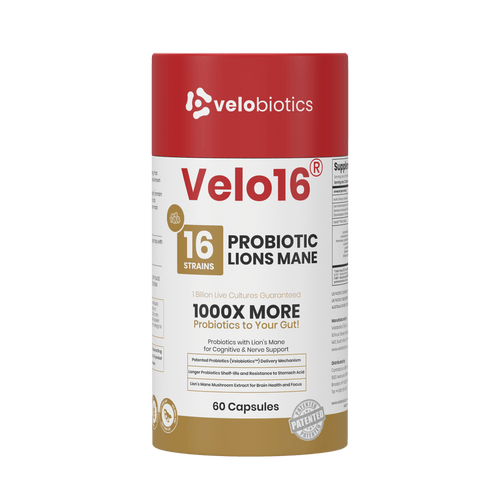Velo16 Probiotics Lion's Mane