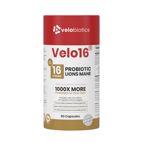 Velo16 Probiotics Lion's Mane 3D box front view