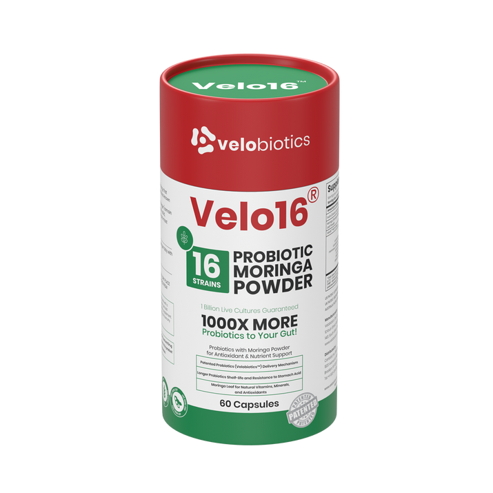 Velo16 Probiotics Moringa Powder supplement with 16 probiotic strains and moringa for gut health and immune support, 60 capsules