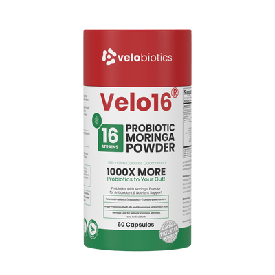 Velo16 Probiotics Moringa 3D box front view