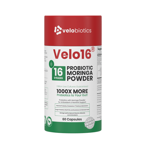 Velo16 Probiotics Moringa 3D box front view