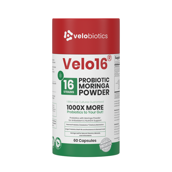 Velo16 Probiotics Moringa Powder supplement with 16 strains, 1 billion CFUs, antioxidants, and nutrient support in 60 capsules.