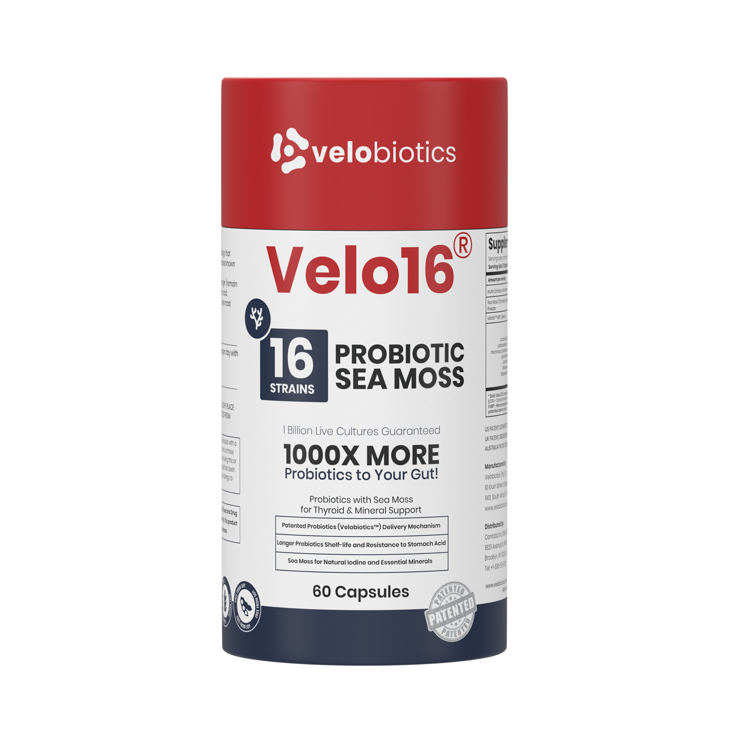 Velo16 Probiotics Sea Moss supplement bottle with 16 probiotic strains and sea moss for thyroid and gut health, 60 capsules.