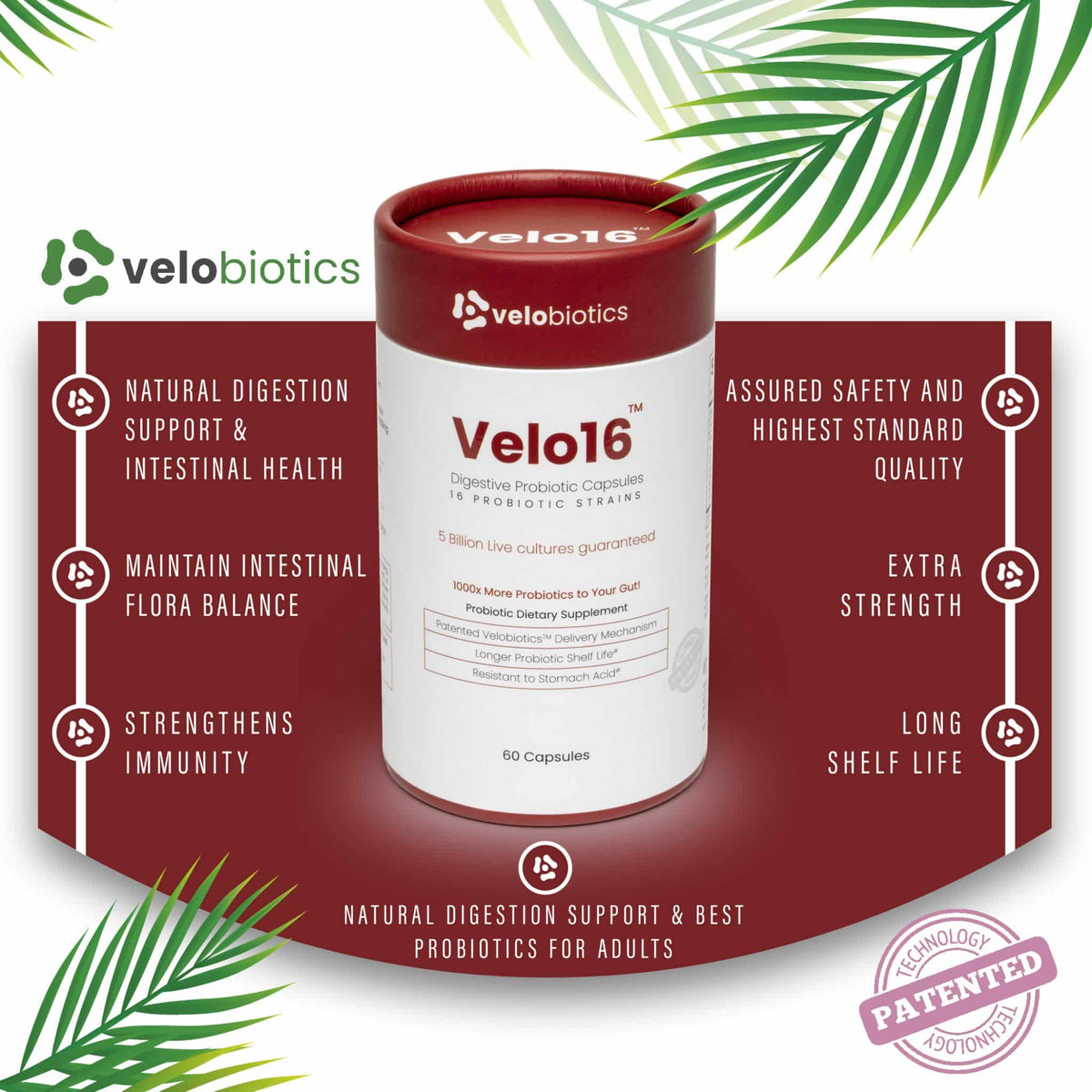 Velo16 Probiotic Digestive Capsules — image 5